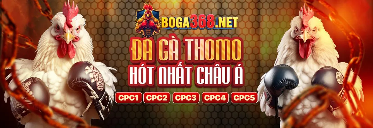 Đá gà trực tuyến tin88 casino