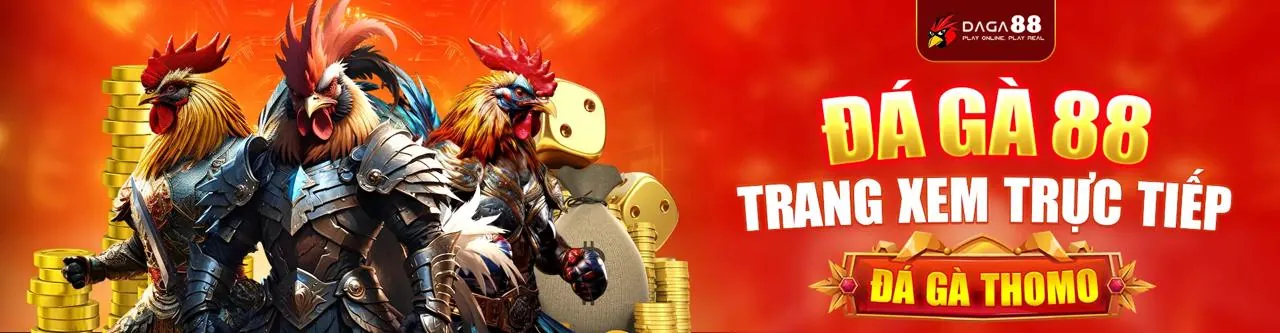 Lợi ích khi chơi đá gà tại tin88 casino