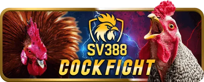 Thực hiện giao dịch nạp tiền tại tin88 casino